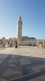 20250424_175559.webp