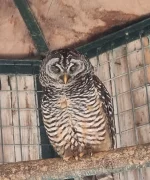 20250529_102533.webp