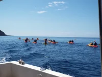 DSCF6593.webp