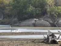 DSCN0141.webp