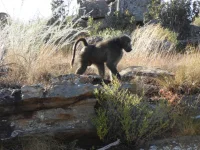 DSCN0196.webp
