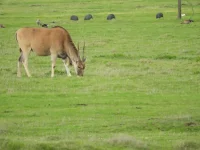 DSCN0300.webp