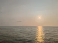 1000019537.webp