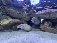 20250624_145338.webp