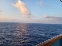 1753381675329.webp
