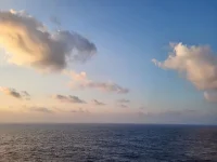 1753381717248.webp