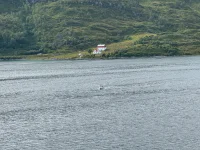 IMG_4087.webp