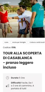 1754058695306.webp