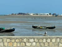 IMG_3525.webp