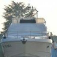 nautius